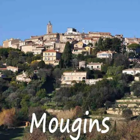 Rez-de-villa - Piscine Chauffee & Jardin- Salon Avec Canape Lit, Cuisine Et 2 Mougins